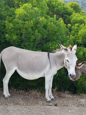 img-20250910-wa0003.jpeg img-20250910-wa0003.jpeg