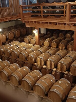 599633147_122149350410912995_8212458487471683551_n.jpeg 599633147_122149350410912995_8212458487471683551_n.jpeg