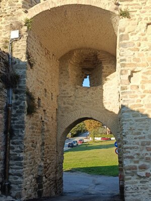 580533422_122143204322912995_8099023608193933138_n.jpeg 580533422_122143204322912995_8099023608193933138_n.jpeg