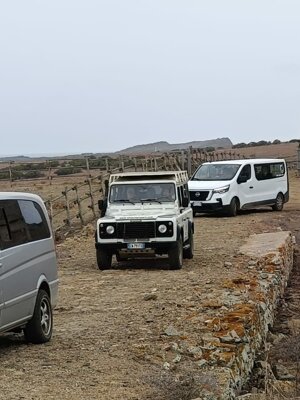 img-20250913-wa0007.jpeg img-20250913-wa0007.jpeg