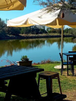 20250927_163249.jpeg 20250927_163249.jpeg