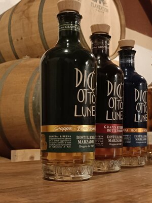 600264785_122149350794912995_4204842767034125728_n.jpeg 600264785_122149350794912995_4204842767034125728_n.jpeg