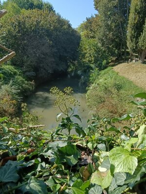 img-20251006-wa0034.jpeg img-20251006-wa0034.jpeg