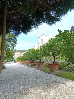 img-20251006-wa0048.jpeg img-20251006-wa0048.jpeg