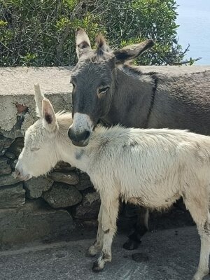 img-20250910-wa0000.jpeg img-20250910-wa0000.jpeg