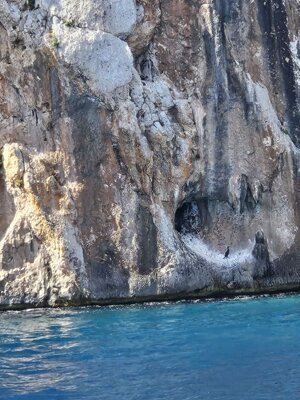 img-20250910-wa0012.jpeg img-20250910-wa0012.jpeg