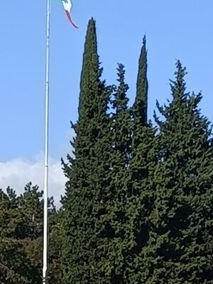 559937590_122138555816912995_359134100858861345_n.jpeg 559937590_122138555816912995_359134100858861345_n.jpeg