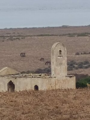 img-20250911-wa0021.jpeg img-20250911-wa0021.jpeg