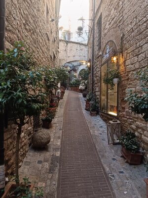 578009839_122143205354912995_2104673650942795314_n.jpeg 578009839_122143205354912995_2104673650942795314_n.jpeg