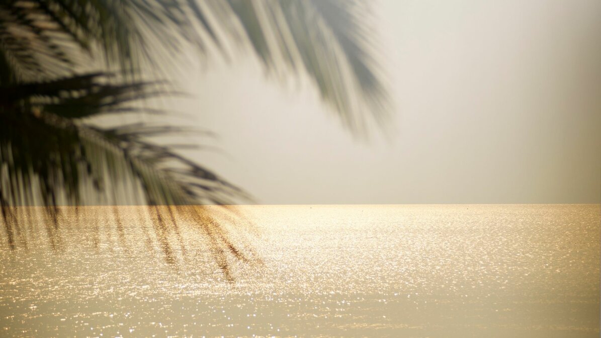 viaggiamo insieme (1).jpeg