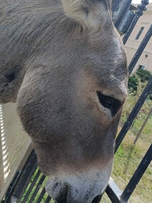 img-20250911-wa0036.jpeg img-20250911-wa0036.jpeg