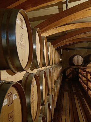 600795114_122149350362912995_5422449540187760383_n.jpeg 600795114_122149350362912995_5422449540187760383_n.jpeg