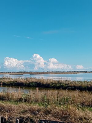 20250927_114951.jpeg 20250927_114951.jpeg