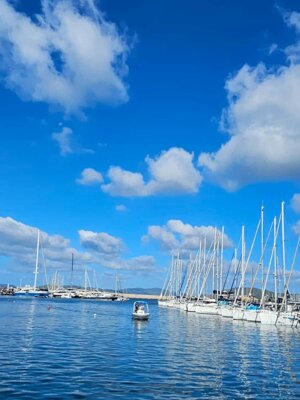 img-20250911-wa0029.jpeg img-20250911-wa0029.jpeg