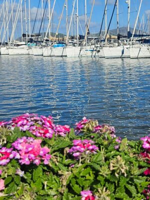 img-20250911-wa0042.jpeg img-20250911-wa0042.jpeg