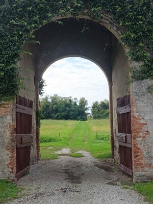 img-20251006-wa0027.jpeg img-20251006-wa0027.jpeg