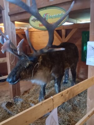 600170440_122148672986912995_2058813975213206805_n.jpeg 600170440_122148672986912995_2058813975213206805_n.jpeg