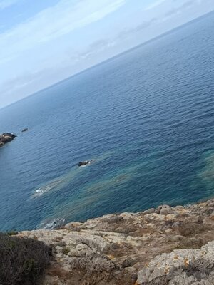 img-20250911-wa0026.jpeg img-20250911-wa0026.jpeg