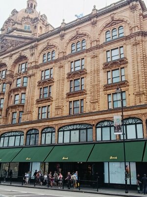 528043755_4225625121043045_8340448704890065736_n.jpeg 528043755_4225625121043045_8340448704890065736_n.jpeg