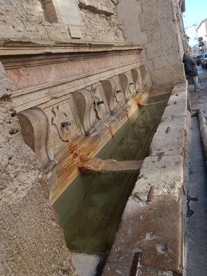 579215517_122143204274912995_3961460100215895014_n.jpeg 579215517_122143204274912995_3961460100215895014_n.jpeg