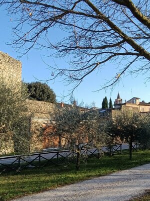 578527548_122143005530912995_9202461616638501752_n.jpeg 578527548_122143005530912995_9202461616638501752_n.jpeg