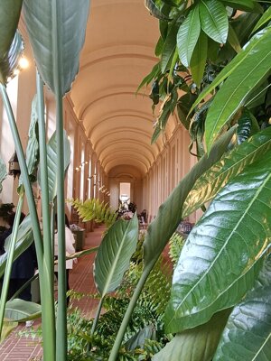 560977383_122137929302912995_394063215917891117_n.jpeg 560977383_122137929302912995_394063215917891117_n.jpeg