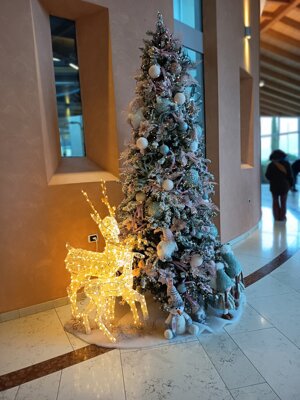 598634224_122149357652912995_346043855148496933_n.jpeg 598634224_122149357652912995_346043855148496933_n.jpeg