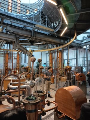 600264055_122149350566912995_2132476347020122677_n.jpeg 600264055_122149350566912995_2132476347020122677_n.jpeg