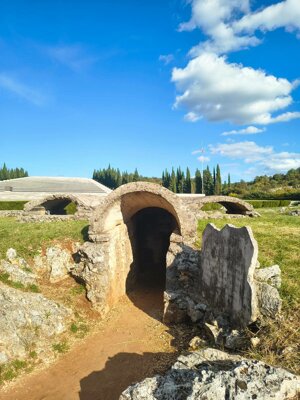 565632040_122138581856912995_3186144671732189645_n.jpeg 565632040_122138581856912995_3186144671732189645_n.jpeg