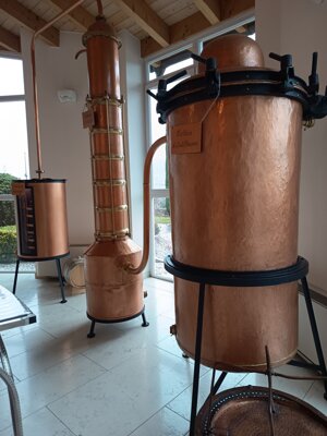 600439613_122149350332912995_8529175977722385908_n.jpeg 600439613_122149350332912995_8529175977722385908_n.jpeg