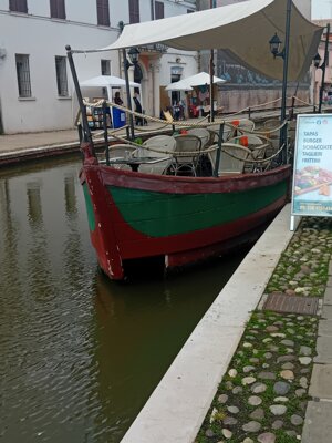 20250927_114358.jpeg 20250927_114358.jpeg