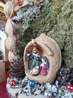 600254810_122148673106912995_1221222561990322442_n.jpeg 600254810_122148673106912995_1221222561990322442_n.jpeg