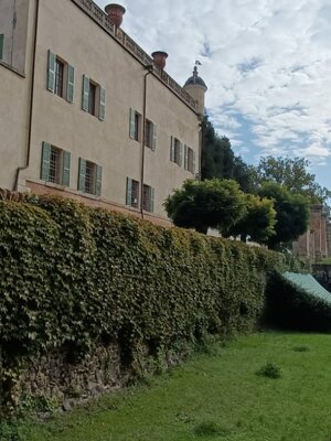 img-20251006-wa0039.jpeg img-20251006-wa0039.jpeg