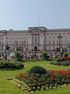 529223349_4226471117625112_8353406082215964422_n.jpeg 529223349_4226471117625112_8353406082215964422_n.jpeg