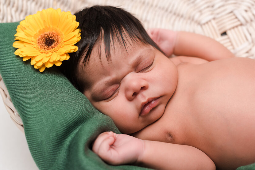 newborn-mixed-race-baby-sleeping-in-basket-near-fl-2024-11-09-15-02-44-utc.jpeg newborn-mixed-race-baby-sleeping-in-basket-near-fl-2024-11-09-15-02-44-utc.jpeg