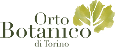 logo_fondi_chiari
