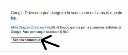 immagine-2025-10-20-193227.jpeg