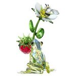swarovski-idyllia-rana-ape-e-fragola-5667599