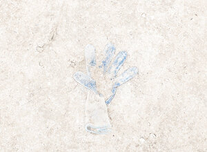 ns03_dscf1768-1.jpeg ns03_dscf1768-1.jpeg