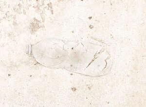 ns02_dscf1685-1.jpeg ns02_dscf1685-1.jpeg