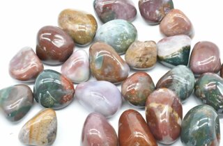 fody logo.jpeg fody logo.jpeg