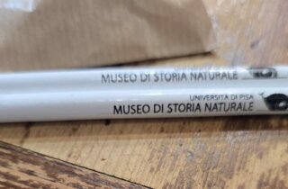 whatsapp%20image%202025-10-26%20at%2013.19.48.jpeg whatsapp%20image%202025-10-26%20at%2013.19.48.jpeg