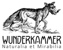 logo_wunderkammer