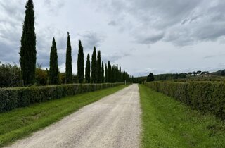 Il-Borro-vigne Castiglion Fibocchi
