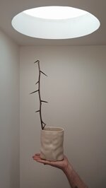 spina-nel-fianco