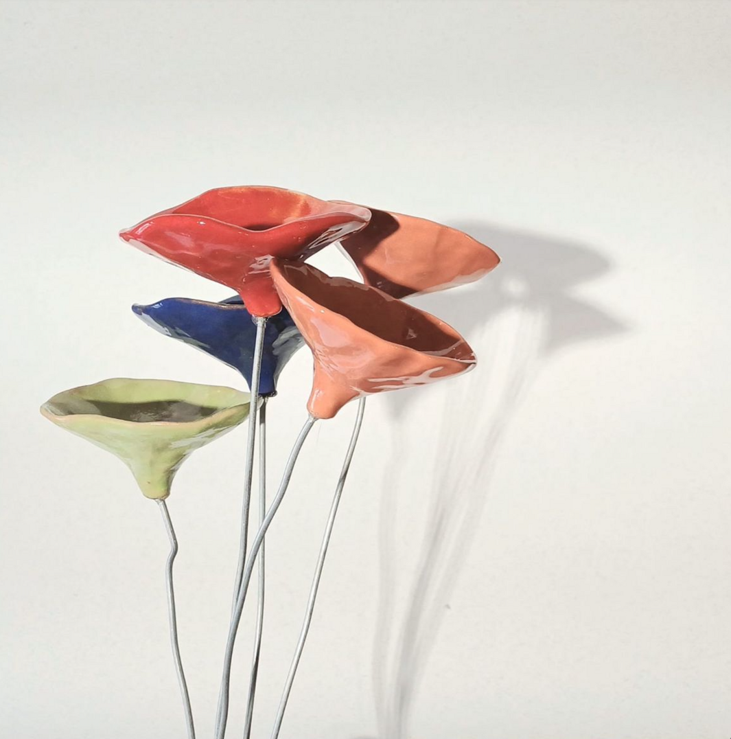 come fiori nel cemento 2-1 come fiori nel cemento 2-1