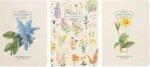 erik-botanical-wild-flowers-pack-of-3-notebooks-a6-notebook-small-a61-notebook-lined-1-notebook-dotted-1-notebook-blank-notepad-a6