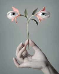 NAPOLEON KOMPLEX, MODERSOHNSTRASSE 35–45, 10245 BERLIN