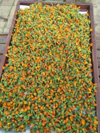 We’re at Boxhagener Platz today!