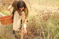 ACKER FESTIVAL + GUEST BOTTEGA BOTANIKA